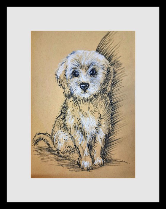 Cute puppy sketch