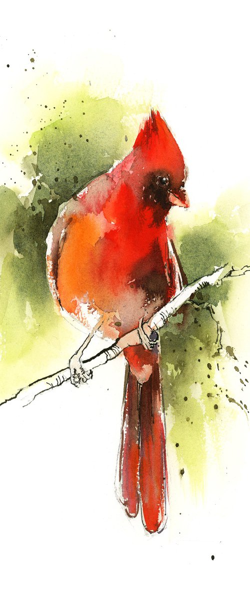 Northern Cardinal Bird Watercolor Painting by Sophie Rodionov