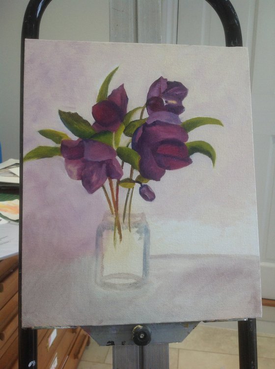 Hellebores in Oil