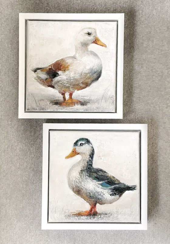 Ducks