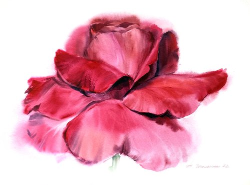 Red rose portrait by Tatiana Gogolkina