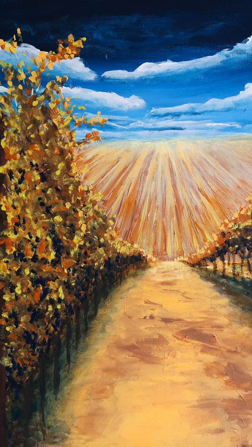 Vineyards in Autumn by Danijela Dan