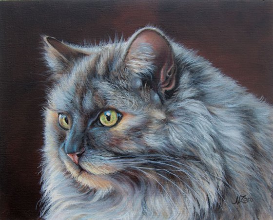Portrait cat