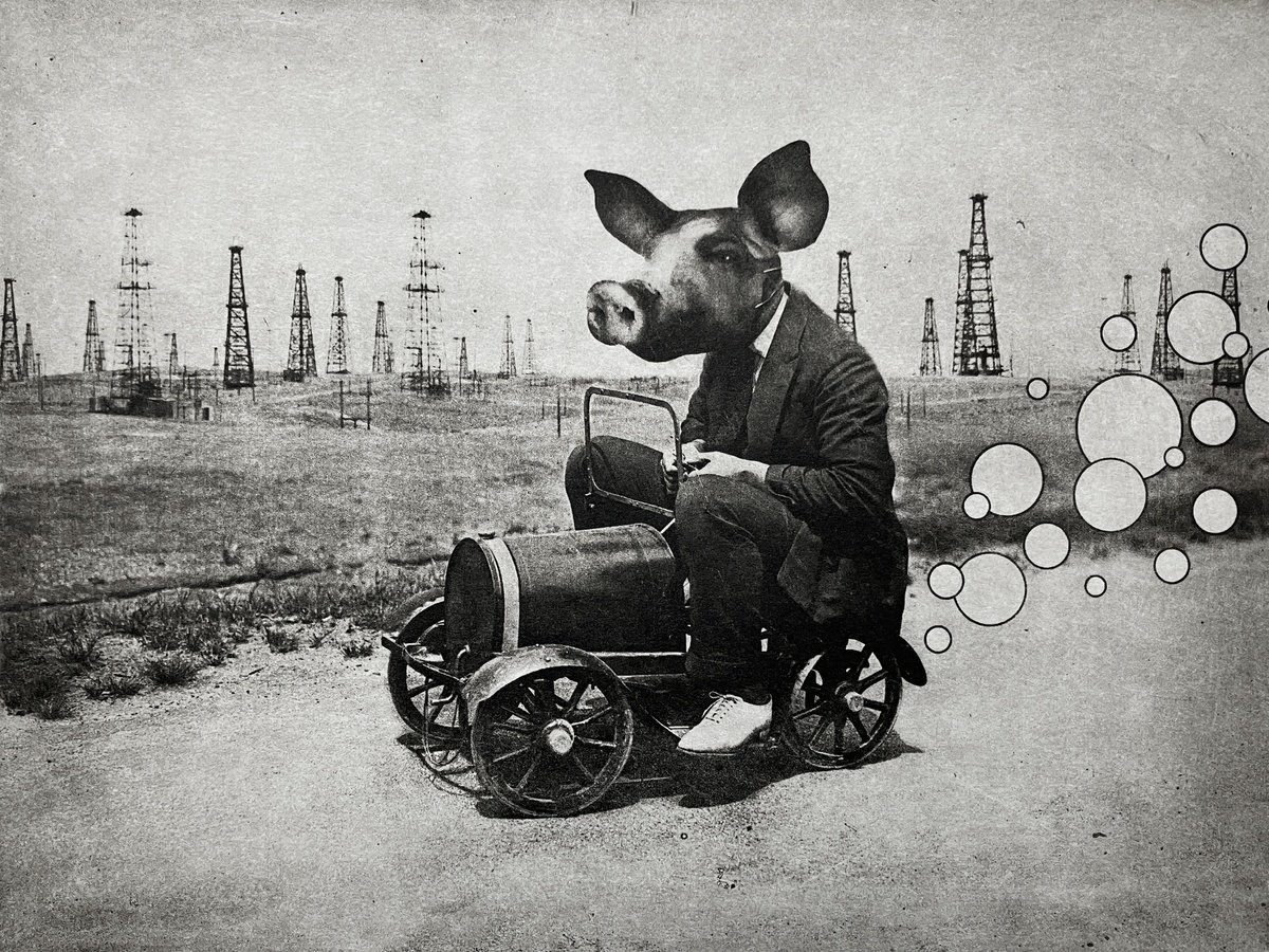 Surrealistic Portrait Etchings & Engravings By Jaco Putker, 13 X 10, The Pig Suite No.8: The Rotary Club, Original Artwork