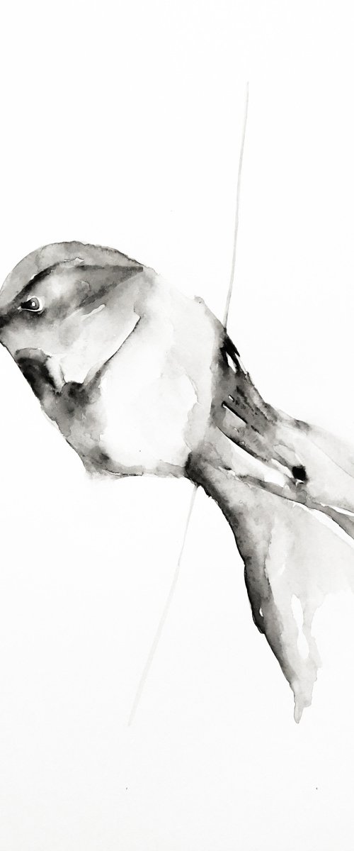 Bird by Nadia Moniatis