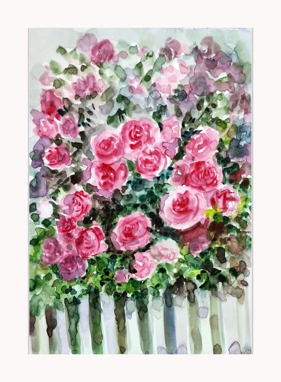 Garden of pink roses