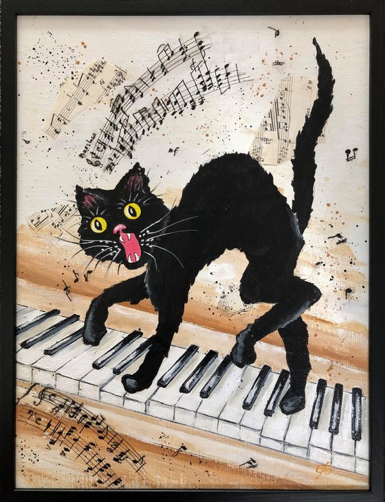 Black cat