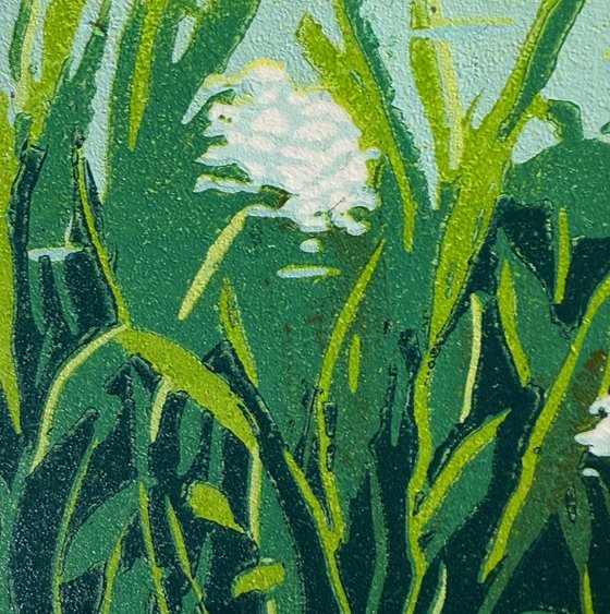 Summer Swim, the Ladies Pond