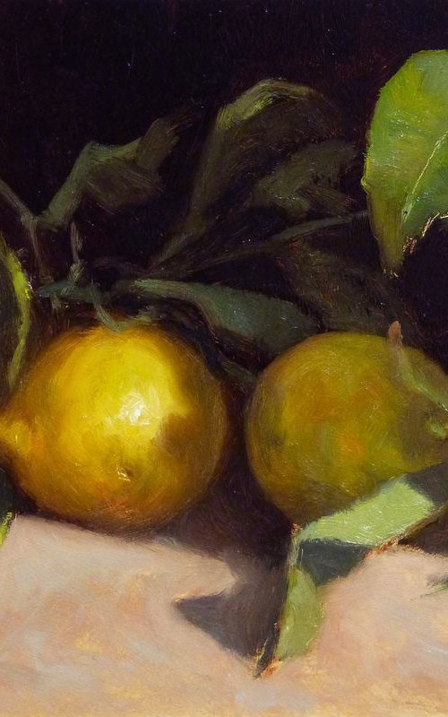 Lemons by Pascal Giroud