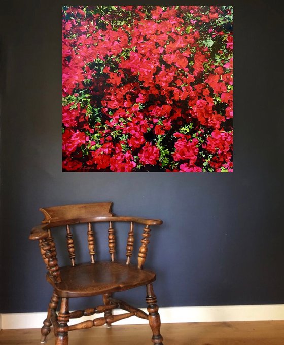 Bougainvillea de Gran Canaria