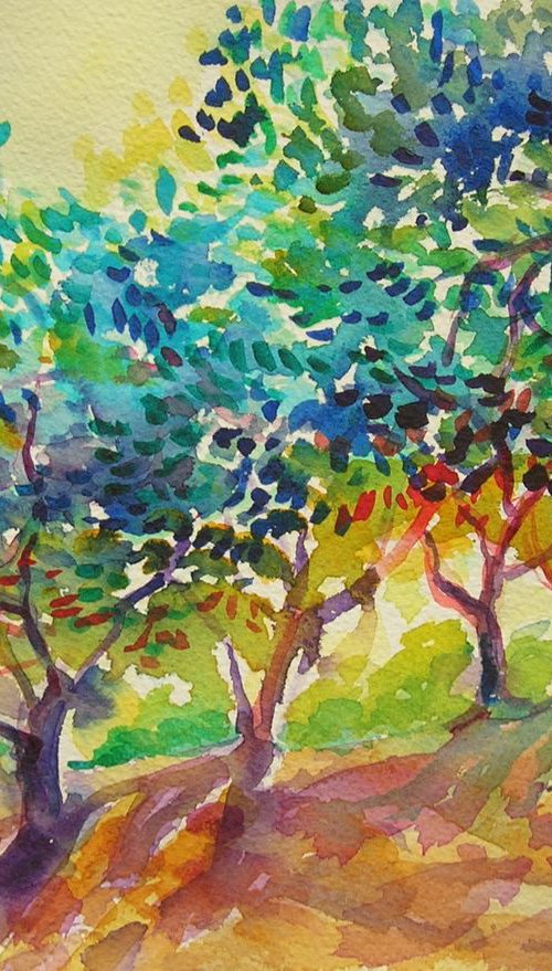 Sun in olive orchard by Maja Grecic