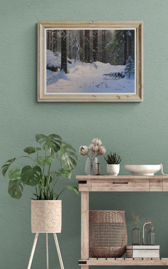 Winter in the spruce forest