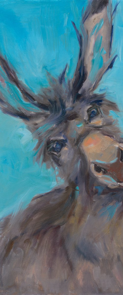 Do you have a carrot? Portrait of a cute donkey by Anna Miklashevich