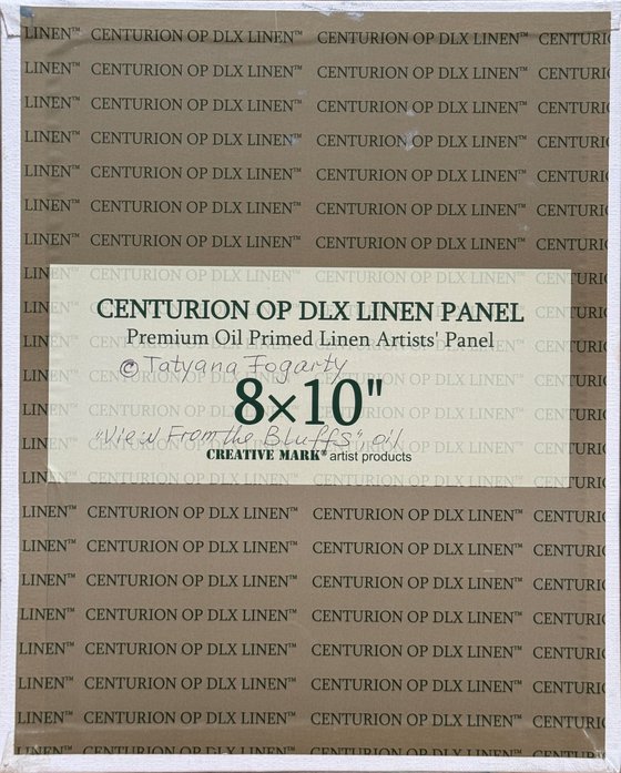 Coastal View From the Bluffs