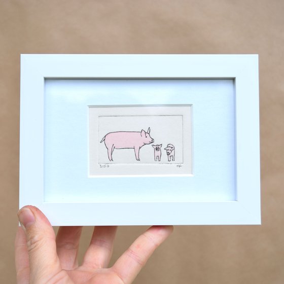 Small framed pig and two young
