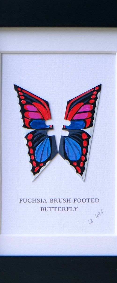 Fuchsia Brush-footed butterfly by Lene Bladbjerg