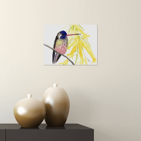 Hummingbird and Yellow Flowers