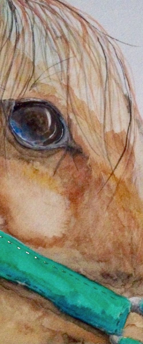 Looking Ahead (commissioned work) by Donna Daniels