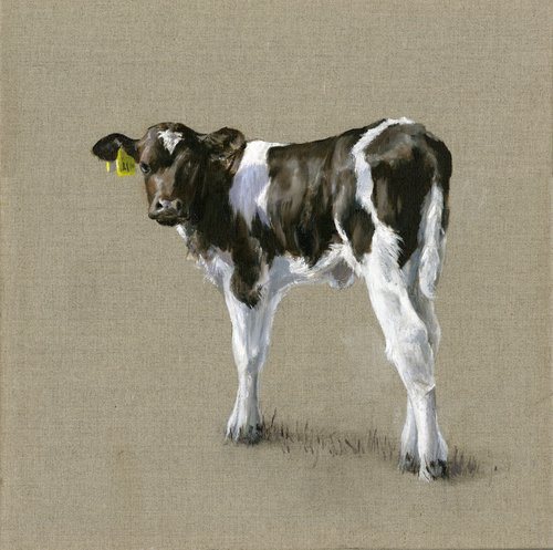 Sal's calf by Una Hurst