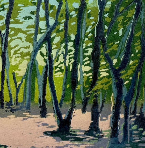 Soft Dusk, Highgate Wood