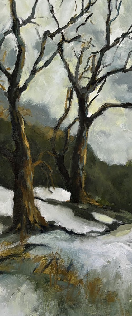 brittle Winter 1 by Joanna Farrow