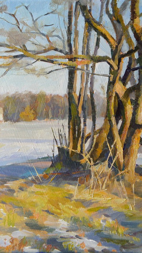 Winter Field by Ling Strube