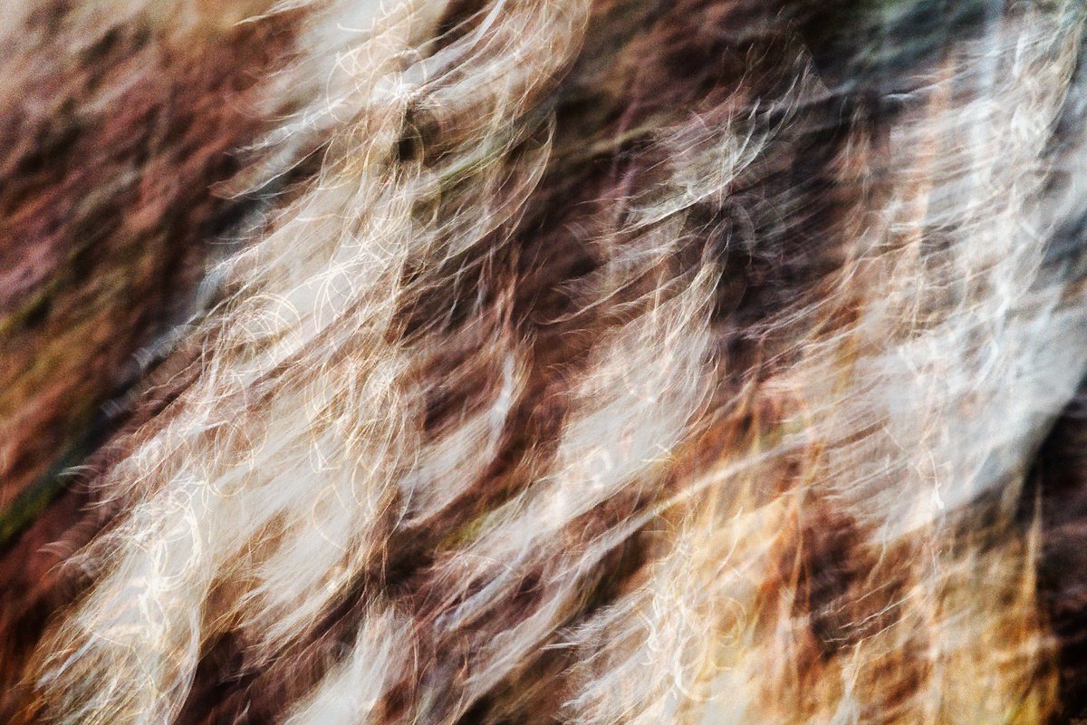 Abstract Photograph By Karim Carella, 45 X 31", Ruska (Studio 3), Original Artwork