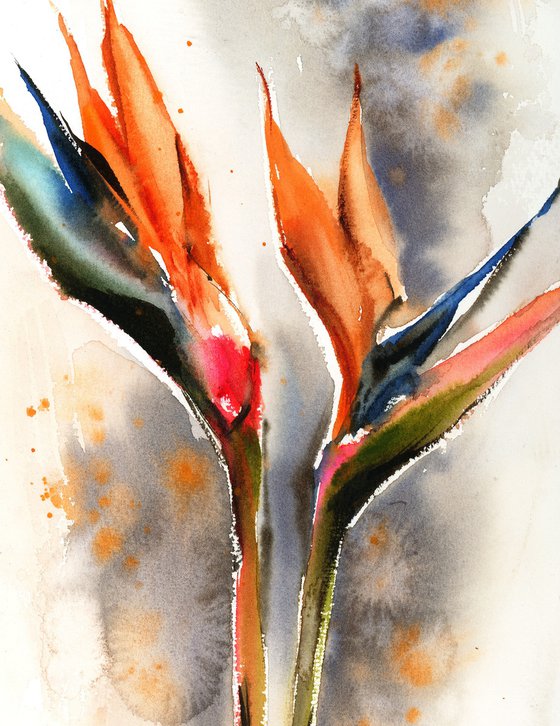 Bird of Paradise Florals