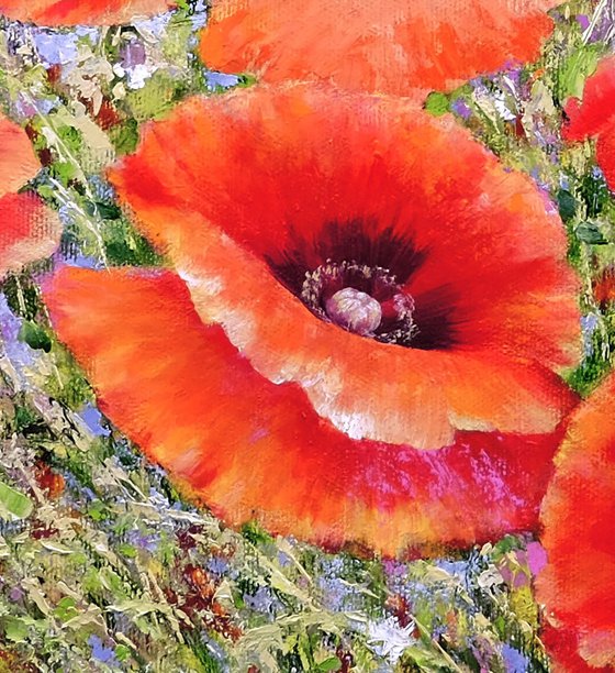 Poppies with wild flowers.