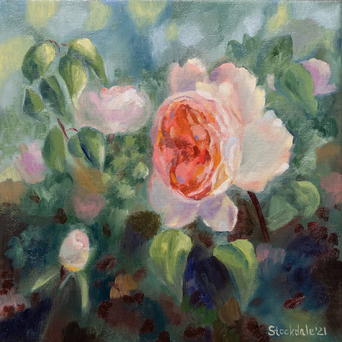 Study of a rose by Maria Stockdale