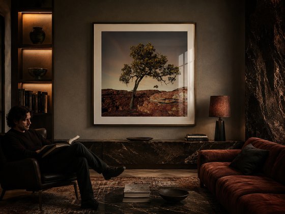 Rustic Canyon