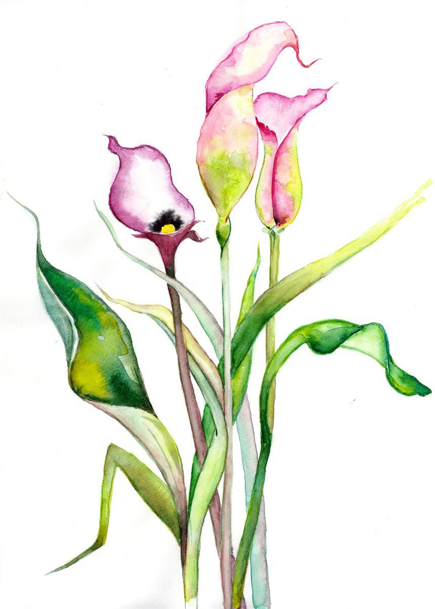 Flower V - Calla Lily by Veselina Marinova