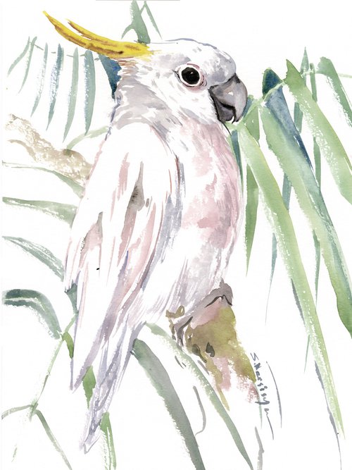 Sulphur-crested Cockatoo, Watercolor Parrot Painting by Suren Nersisyan