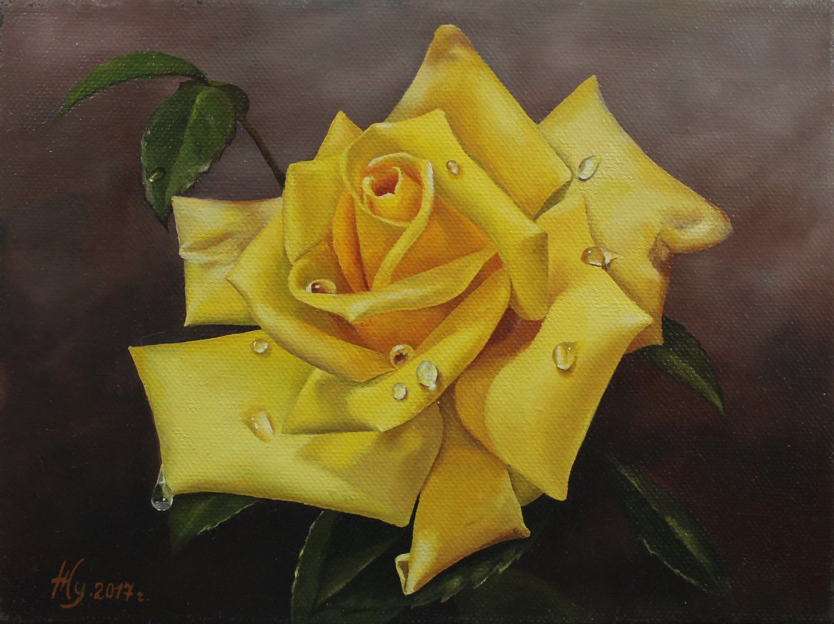 Yellove rose by Natalia Zhukova