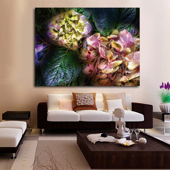 Hortensias