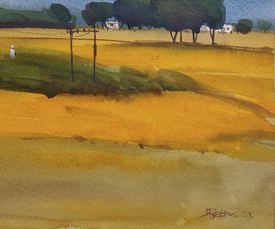 Indian yellow, summer light 1