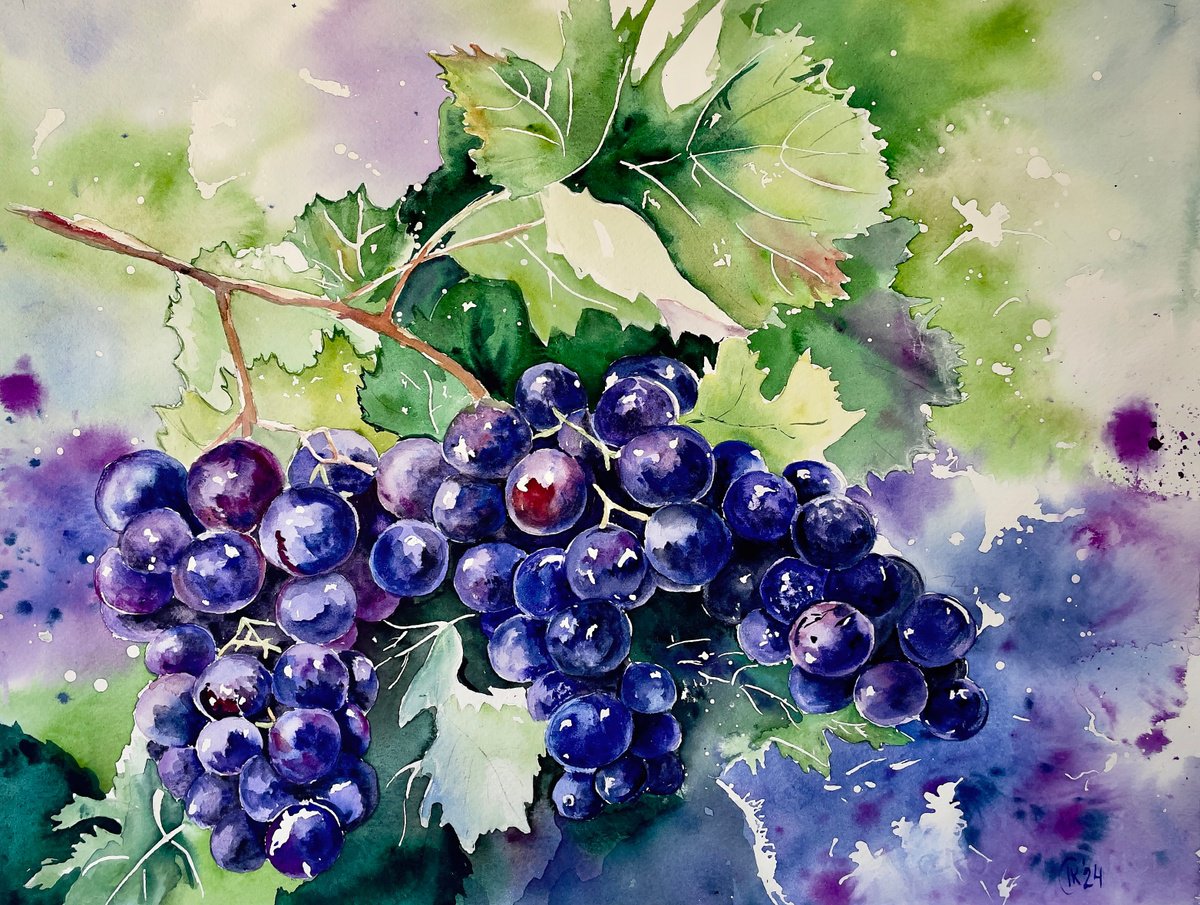 Photorealistic Watercolour , Serenity In Grapes By Irina Kurganskaya, 16 X 12, Artwork For Sale On Artfinder