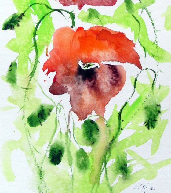 Playful poppies III