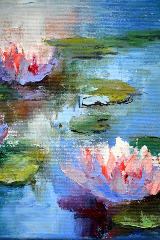 Sunny water lilies