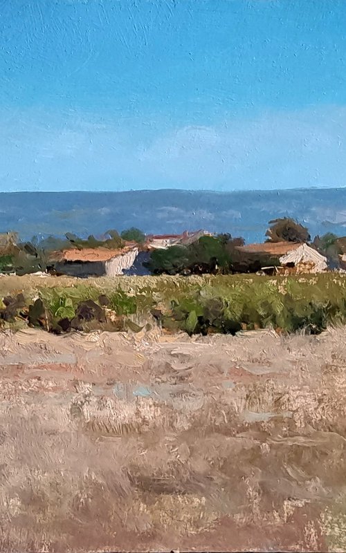 Vineyards in the Luberon by Pascal Giroud