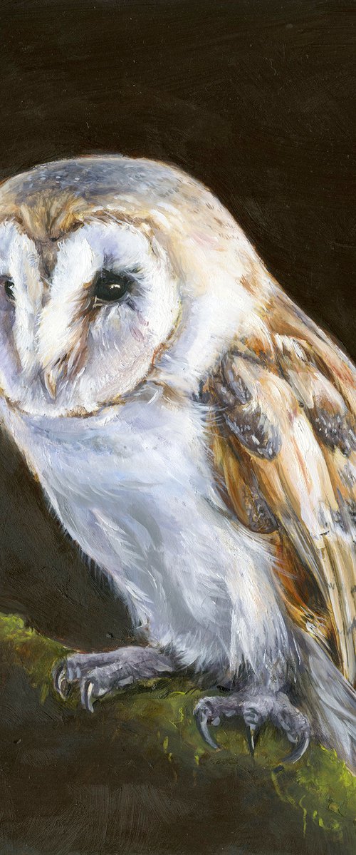 Barn Owl by Una Hurst