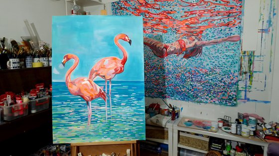 Flamingos