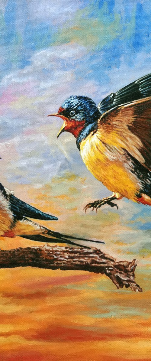 Two Birds by K Shaji