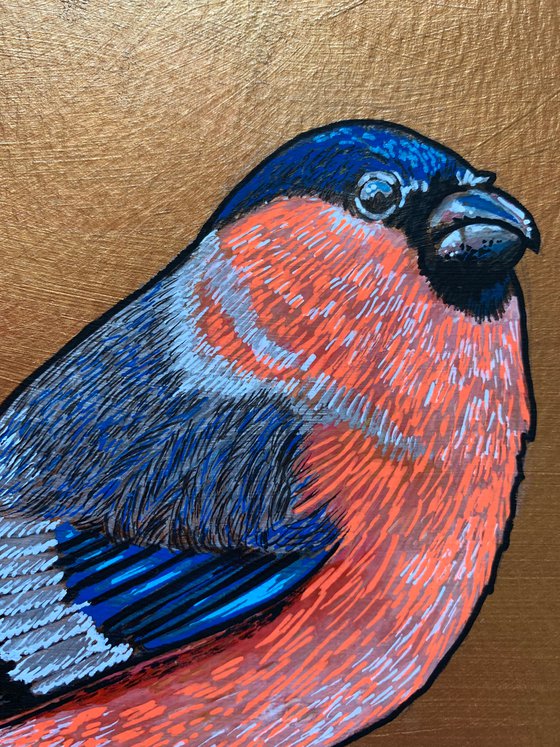 British Garden Birds series - Bullfinch