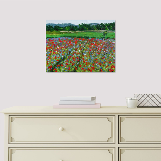 Poppies field III /  ORIGINAL PAINTING