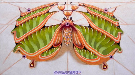 Fibonacci moth