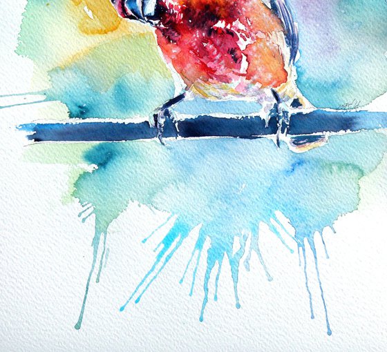 Cute bird