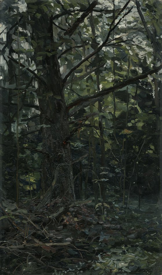 Forest. Fir-tree. Karmanovo