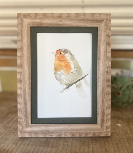 Little Robin Redbreast