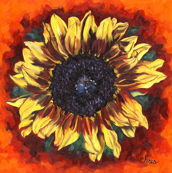 Burnished Sunflower on Orange